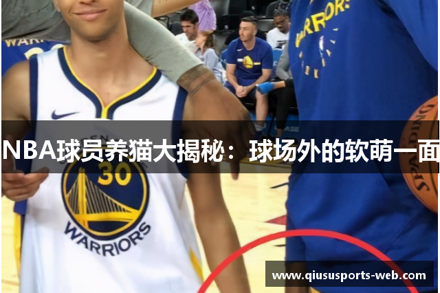 NBA球员养猫大揭秘：球场外的软萌一面